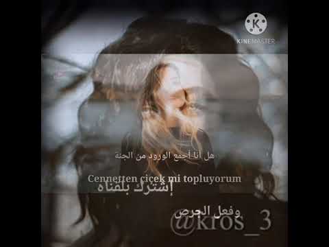 اتفقد قلبك بين الحين والاخر