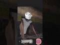 granny hack mod face troll edit 😱 escape #granny #escape #hack #mods #edit #shorts #troll #face #mp