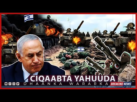 Katta kokrak va kokrak uchlari bilan porno tomosha qiling