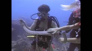 Scuba Diving Couple With Sea Snake 1990S