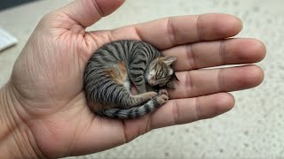 13 Smallest Animals In The World