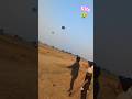 Kite Fight 😤