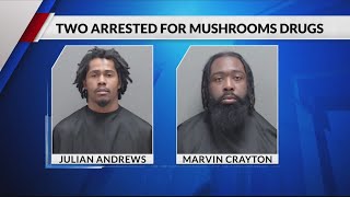 14 grams of psychedelic mushrooms seized during traffic stop in East Texas