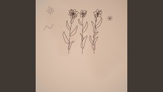 Fading before Bright Shadow