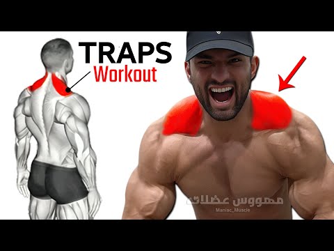 7 BEST EXERCISE TRAPS WORKOUT 🔥