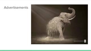 WR122 Virtual Session #1