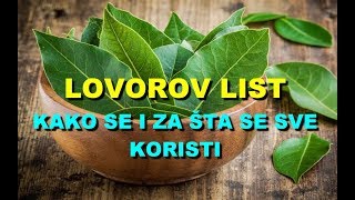 LOVOROV LIST - KAKO Se i Za TA Se SVE KORISTI