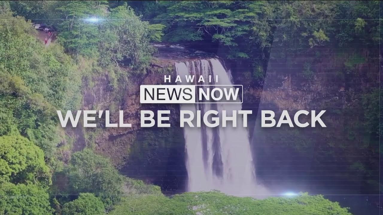 THIS IS NOW (Nov. 19, 2025)