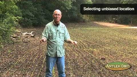 Whitetail Management: Food Plots in the Fall (#146) @GrowingDeer.tv