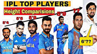 Height Comparisions || IPL Top Players || Shortest to Tallest
