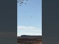 Soldier Survives Parachute Failure Seconds Before Impact in Colombia