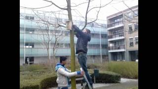 Leerlingen Plaatsen Nestkastjes Bij Verzorgingshuizen.