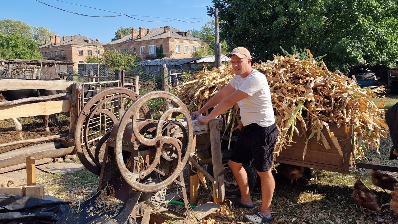 “Making Corn Silage in the Village with an Old 300lb Silage Cutter | Almost Crushed My Leg!”