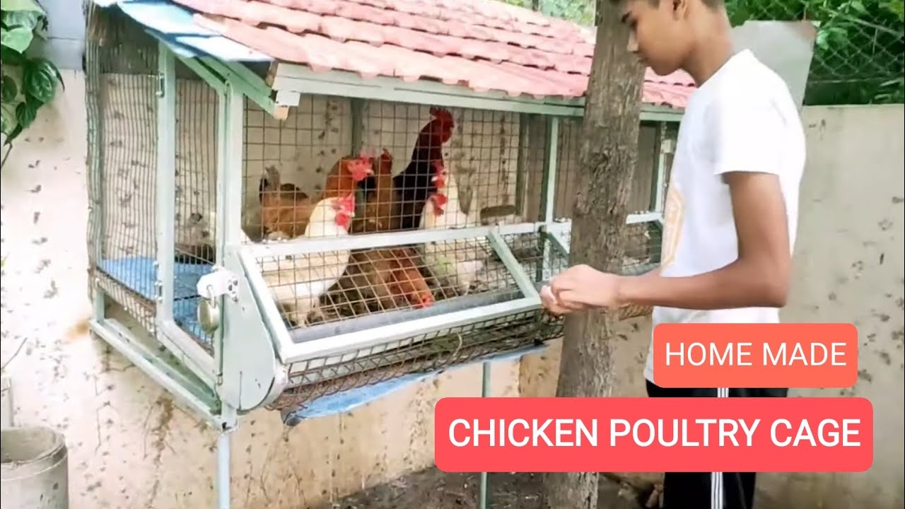 How To Make Home Made Poultry Cage - Youtube