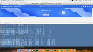 Oceanhackweek 2018: Amanda Tan and Don Setiawan - Data sharing and collaboration tools