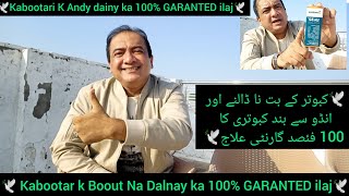 Kabootar k Boot Na Dalnay ka ilaj | kabootari k Andy Na dainy Ka ilaj | GARANTED 100% ilaj | pigeon