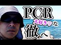 PCR大好きな、玉川徹さんを救いたい。