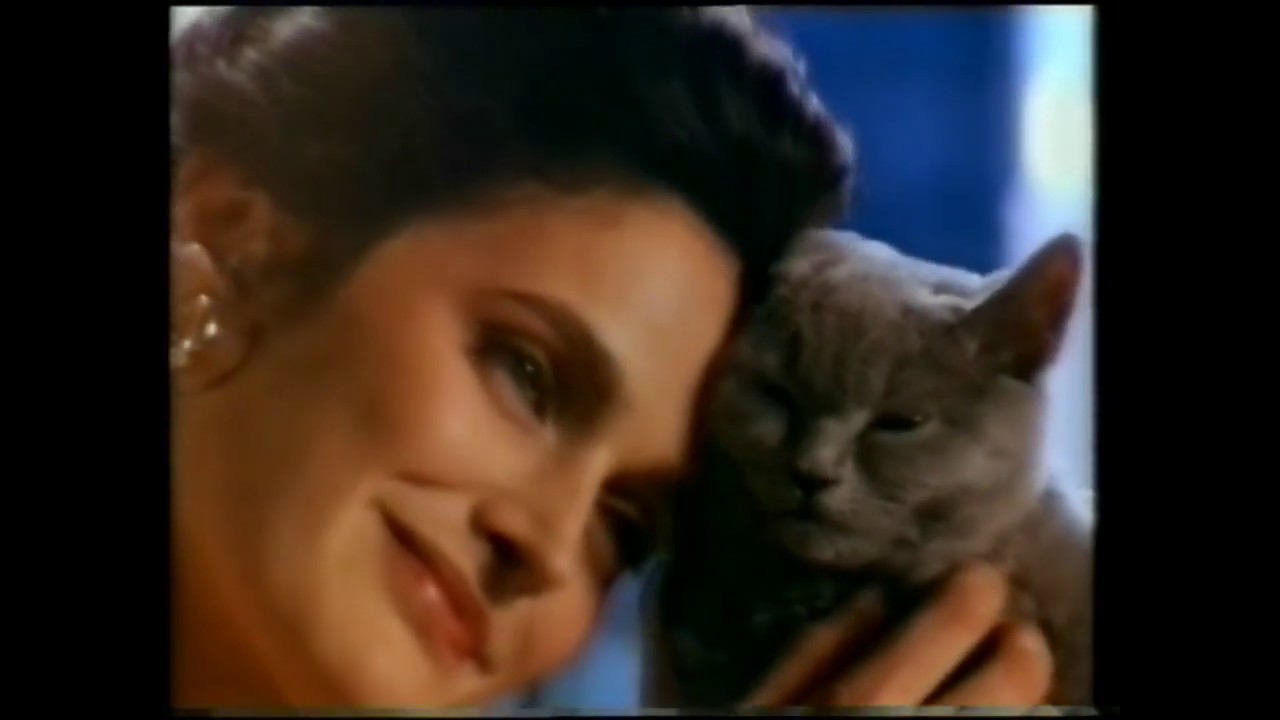 Sheba cat food TV commercial 1992 YouTube