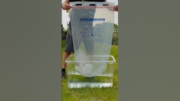 Can CO2 blow up this bag?! #shorts #scienceexperiment  #dryice #chemistryteacher #co2