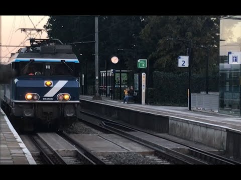 Trein Railpromo Dinner Express raast langs en toetert (24 sept 2021)