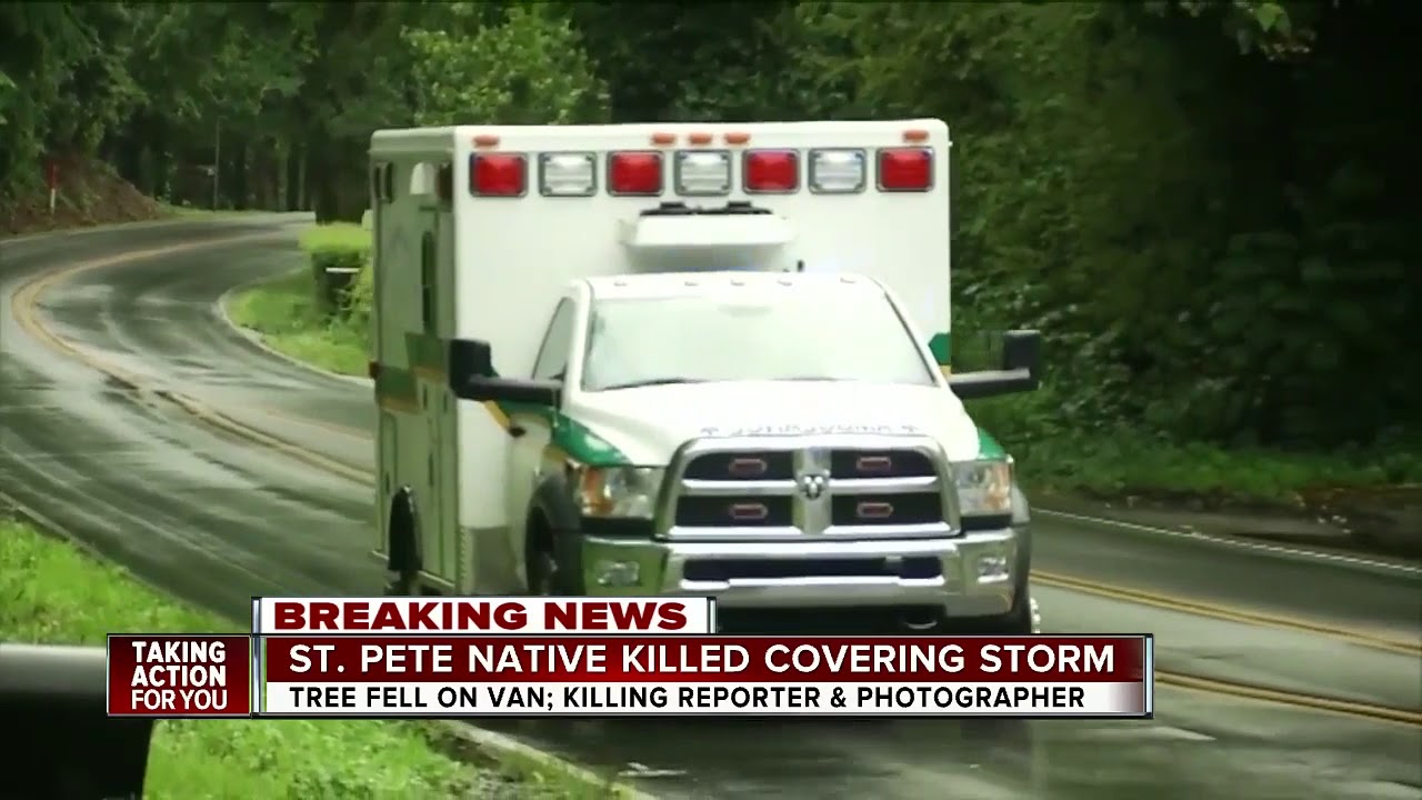 Journalist from Florida, photographer killed after tree falls on news ...