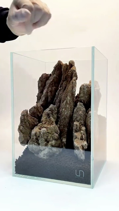 UNS 16T Nano Terrarium ft. Mountain Stone & Dwarf Baby Tears #shorts