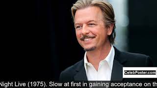 Famous David Spade biography Profile