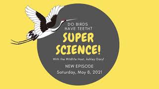 Super Science: Do Birds Have Teeth?