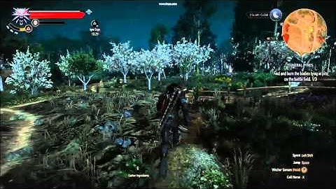 the witcher3 gtx 960 SLI flashing