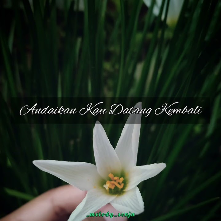 Story wa singkat, song : Andaikan kau datang kembali