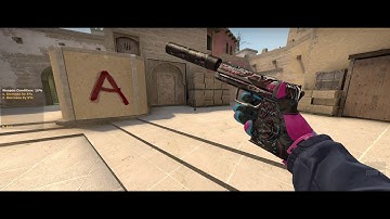 USP-S Neo Noir Battle-Scarred Showcase