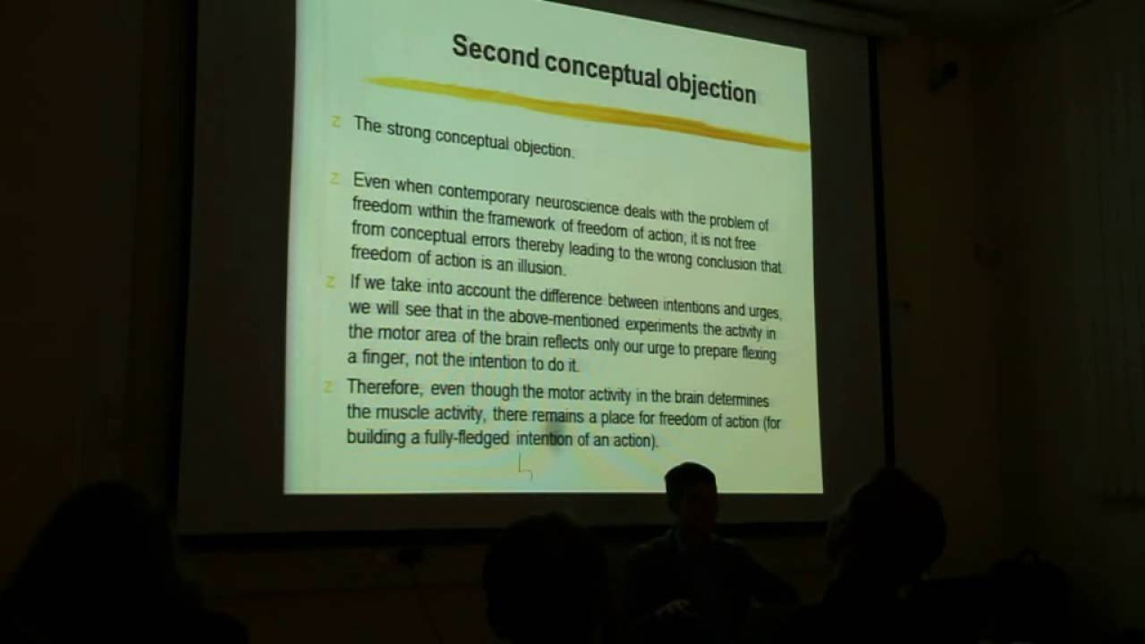 Danil Razeev - Free Will: Illusion or Reality?