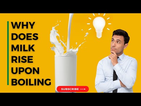 Boiling Point of Milk: [The Science of Scorching] - FreshScientific.org
