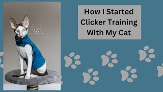 How I Started Clicker Training With My Cornish Rex  P1  ENFR