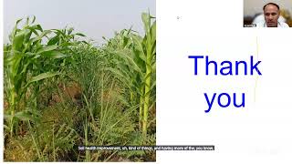21-Day Online Training Programme on Maize Value Chain