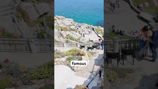 The Minack Theatre - UK’s most unique outdoor venue 🎭🇬🇧 #cornwall #theatre #uk