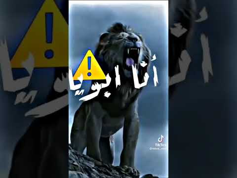 انا ابويا قالي هتعيش اسد
