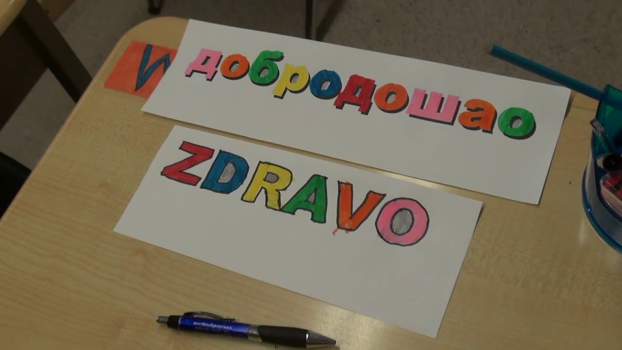 SERBIAN DAY IN FORESTVIEW PUBLIC SCHOOL!