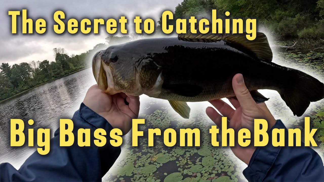 The Secret to Catching Big Bass From the Bank