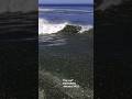 free surf PASTURES January 2022 #14