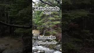 Heavy #rain and #thunder #asmr Sleep Sounds, #stressrelief #sleepsounds