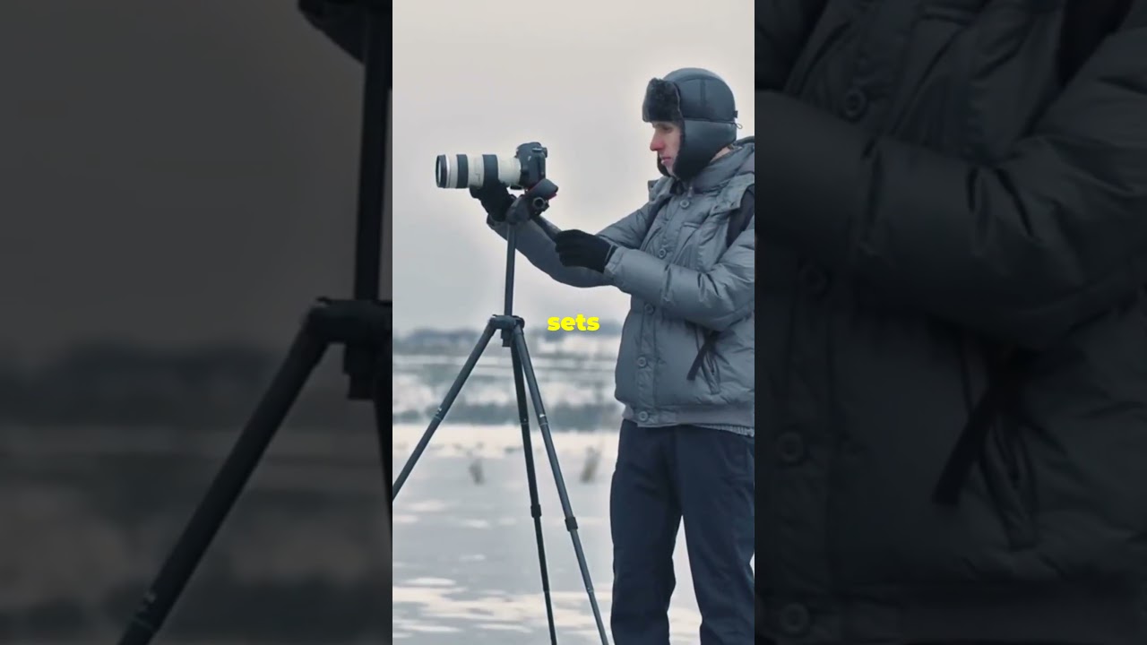 The Perfect Shot: Sunrise and Swan 