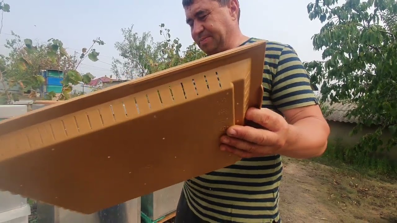 697.Trei lucruri pentru o iernare buna.