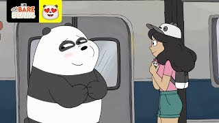 Amor De Verão Ursos Sem Curso Cartoon Network