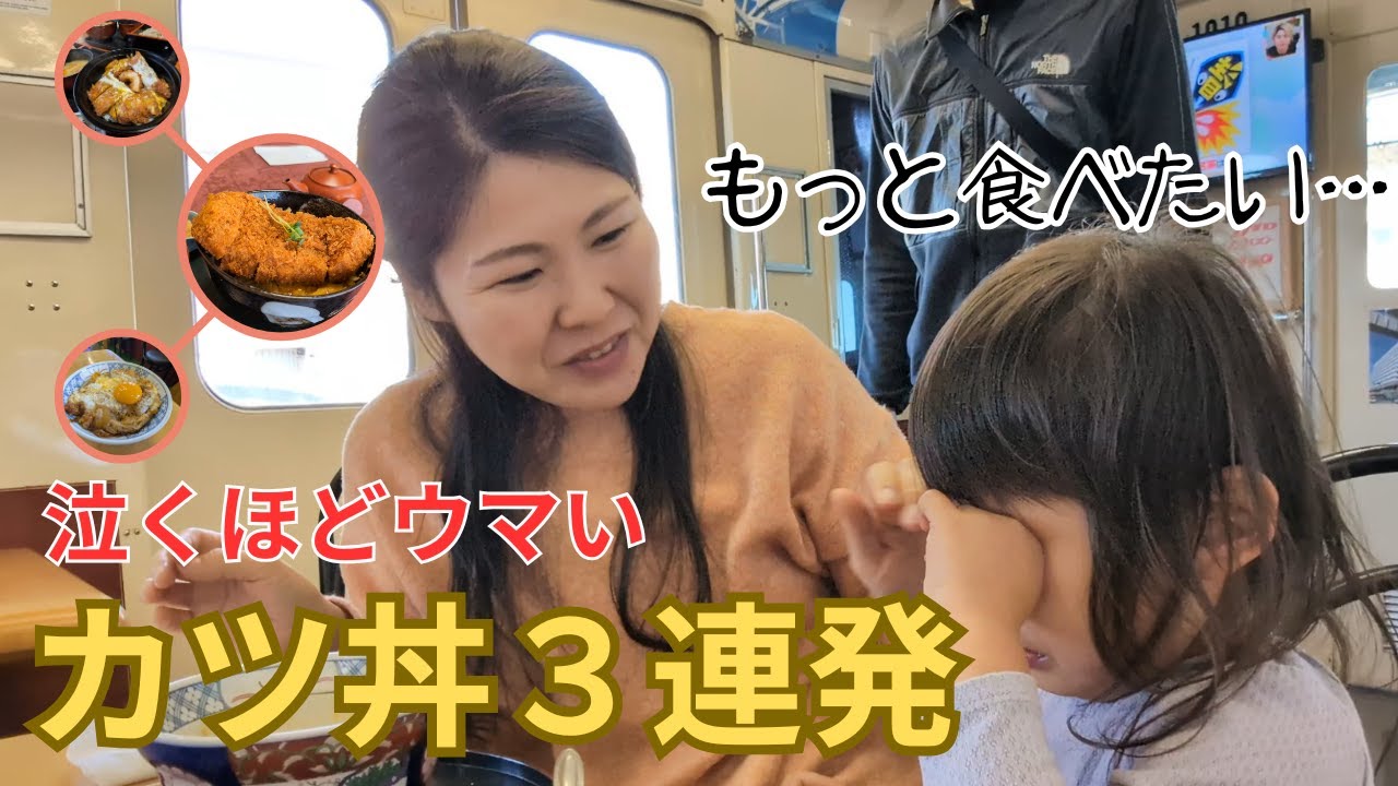 家族で悶絶！泣くほど旨い静岡カツ丼3選！