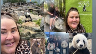 Adelaide Zoo & Our Secret Adventure..