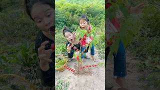 Survival Skills: SMART ideas and US...