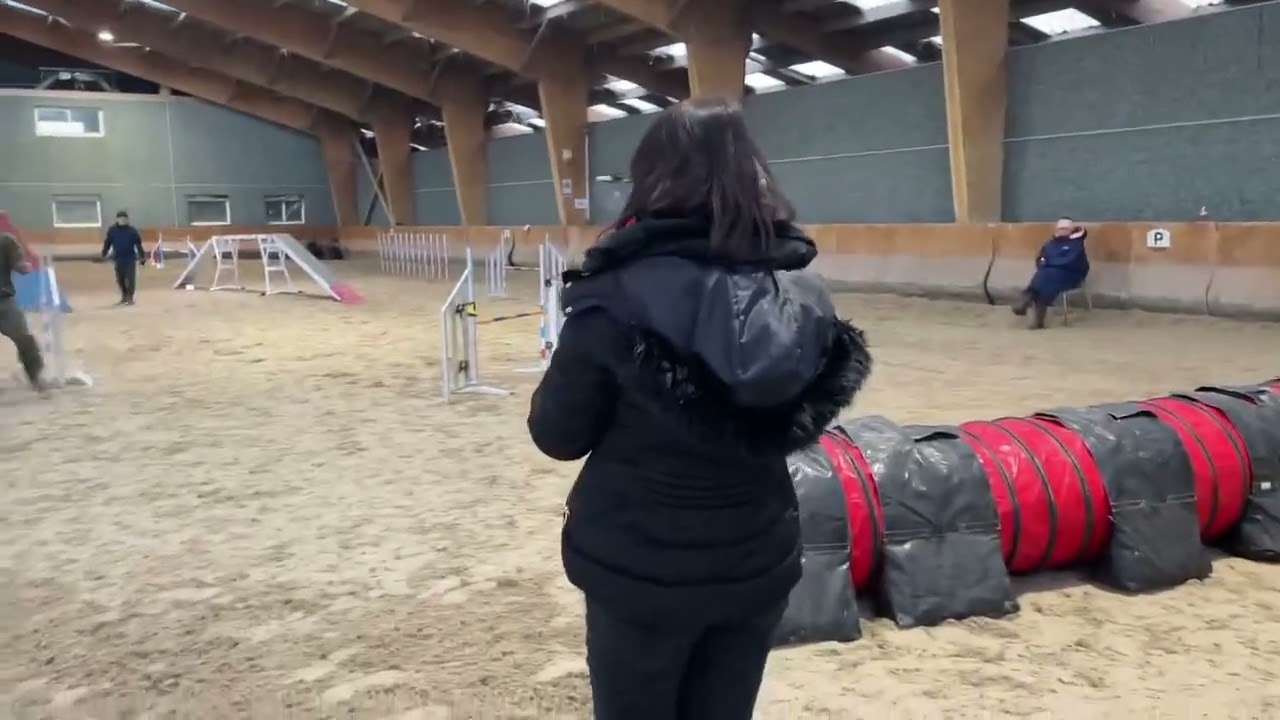 Agility 2026, premier weekend de l’année 