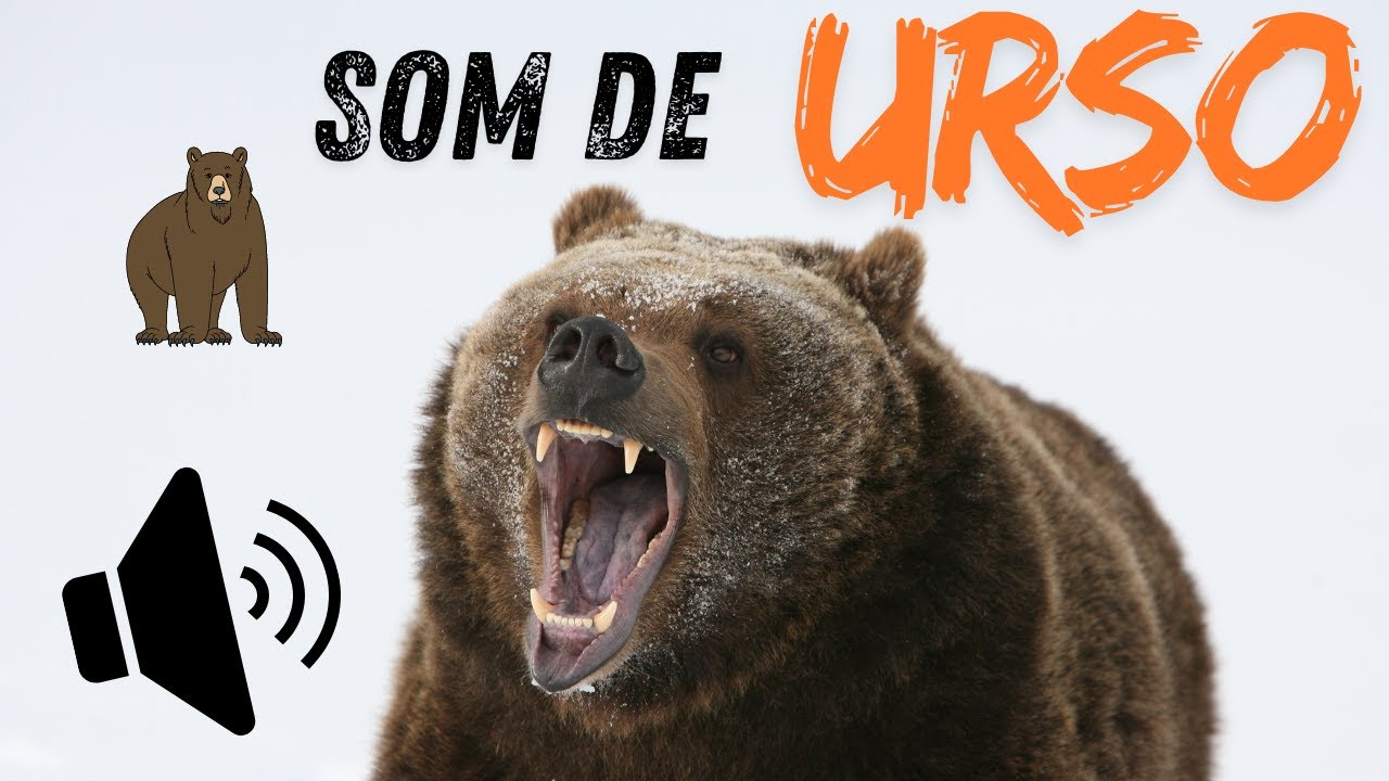SOM DE URSO - BARULHO DE URSO RUGINDO ALTO ! SOM DO URSO! - YouTube