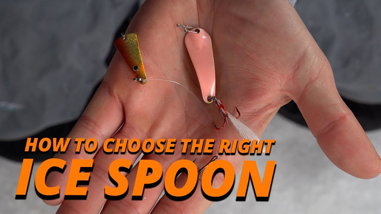 How to Choose the Right Ice Spoon 